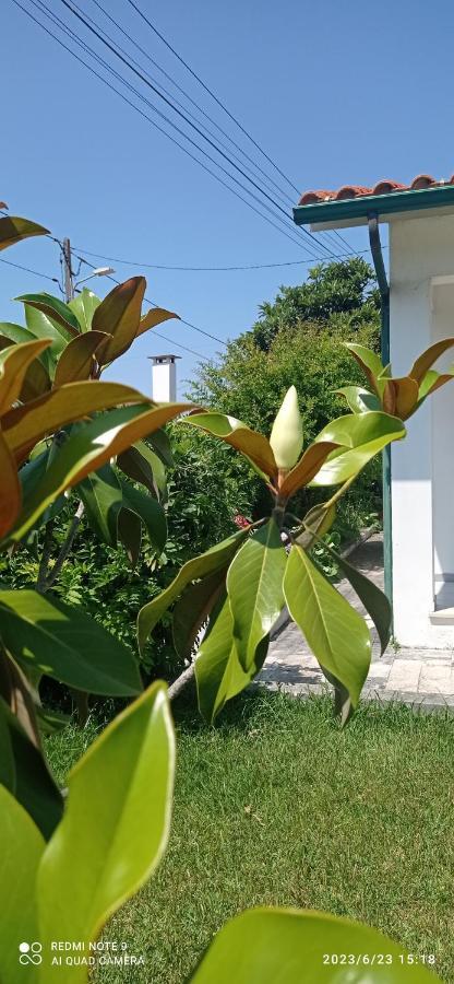 Casa Da Nespereira- Lugar Acolhedor Rodeado De Natureza Soure المظهر الخارجي الصورة